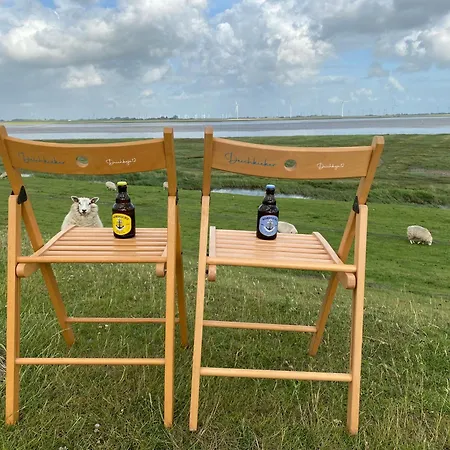 Deichkoje12 Direkt Am Eiderdeich Nur 7 Km Bis Zur Nordsee Und 20 Min Bis Sankt Peter Ording Тённинг Экстерьер фото