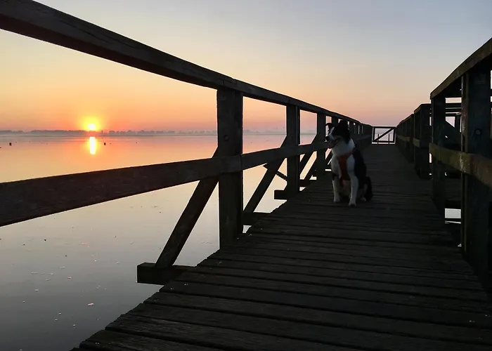 Deichkoje12 Direkt Am Eiderdeich Nur 7 Km Bis Zur Nordsee Und 20 Min Bis Sankt Peter Ording