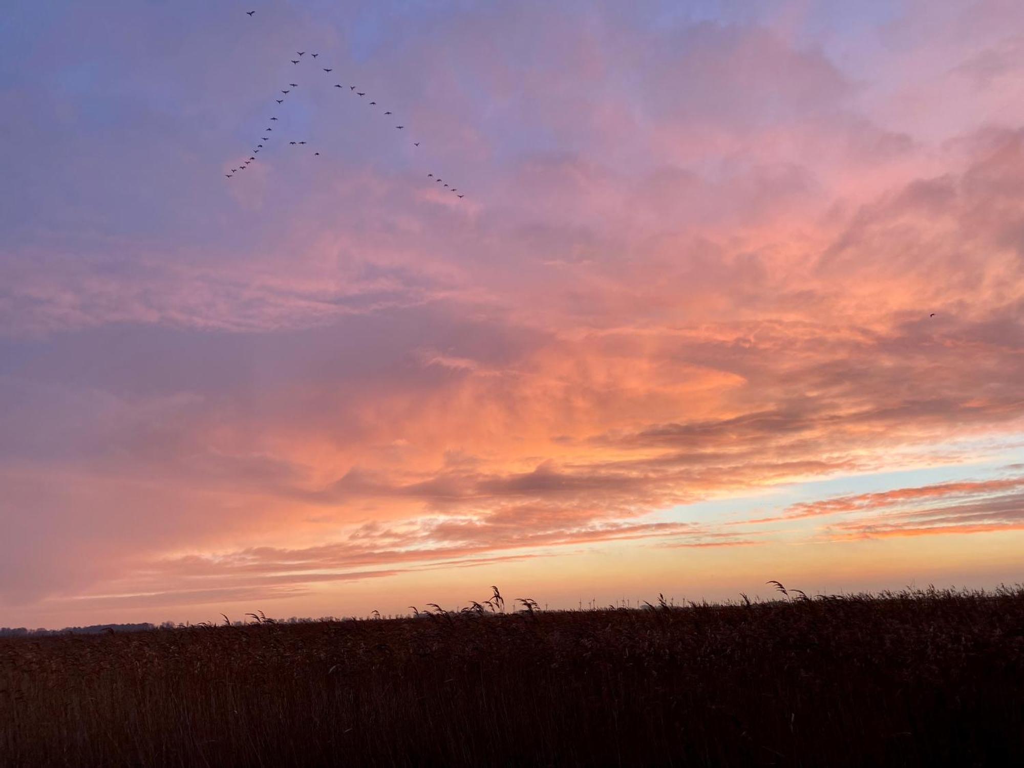 Deichkoje12 Direkt Am Eiderdeich Nur 7 Km Bis Zur Nordsee Und 20 Min Bis Sankt Peter Ording