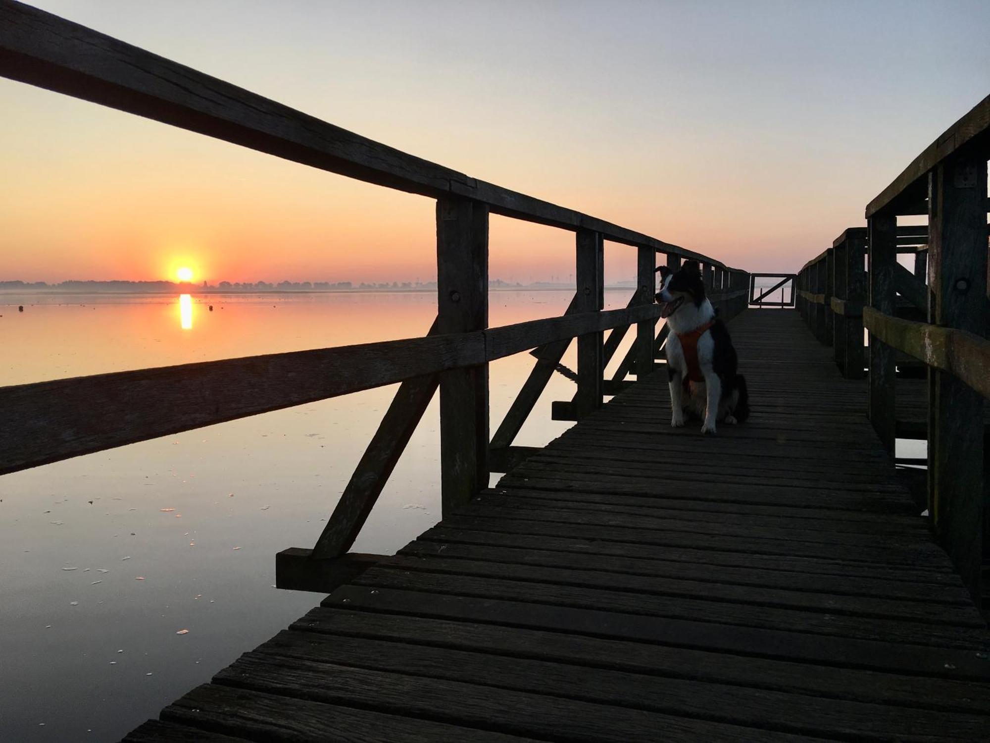 Deichkoje12 Direkt Am Eiderdeich Nur 7 Km Bis Zur Nordsee Und 20 Min Bis Sankt Peter Ording