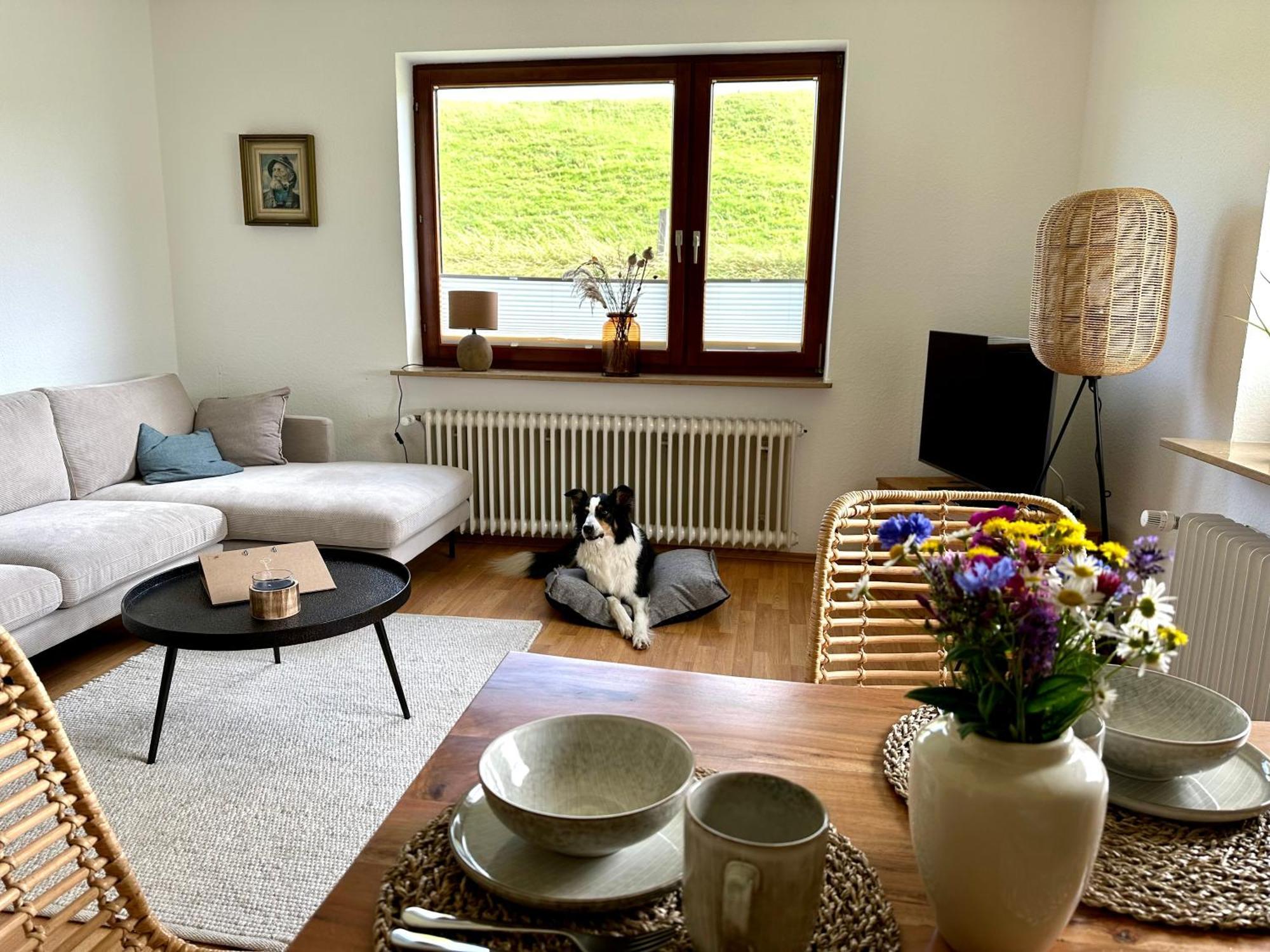 Apartment Deichkoje12 Direkt Am Eiderdeich Nur 7 Km Bis Zur Nordsee Und 20 Min Bis Sankt Peter Ording Tönning