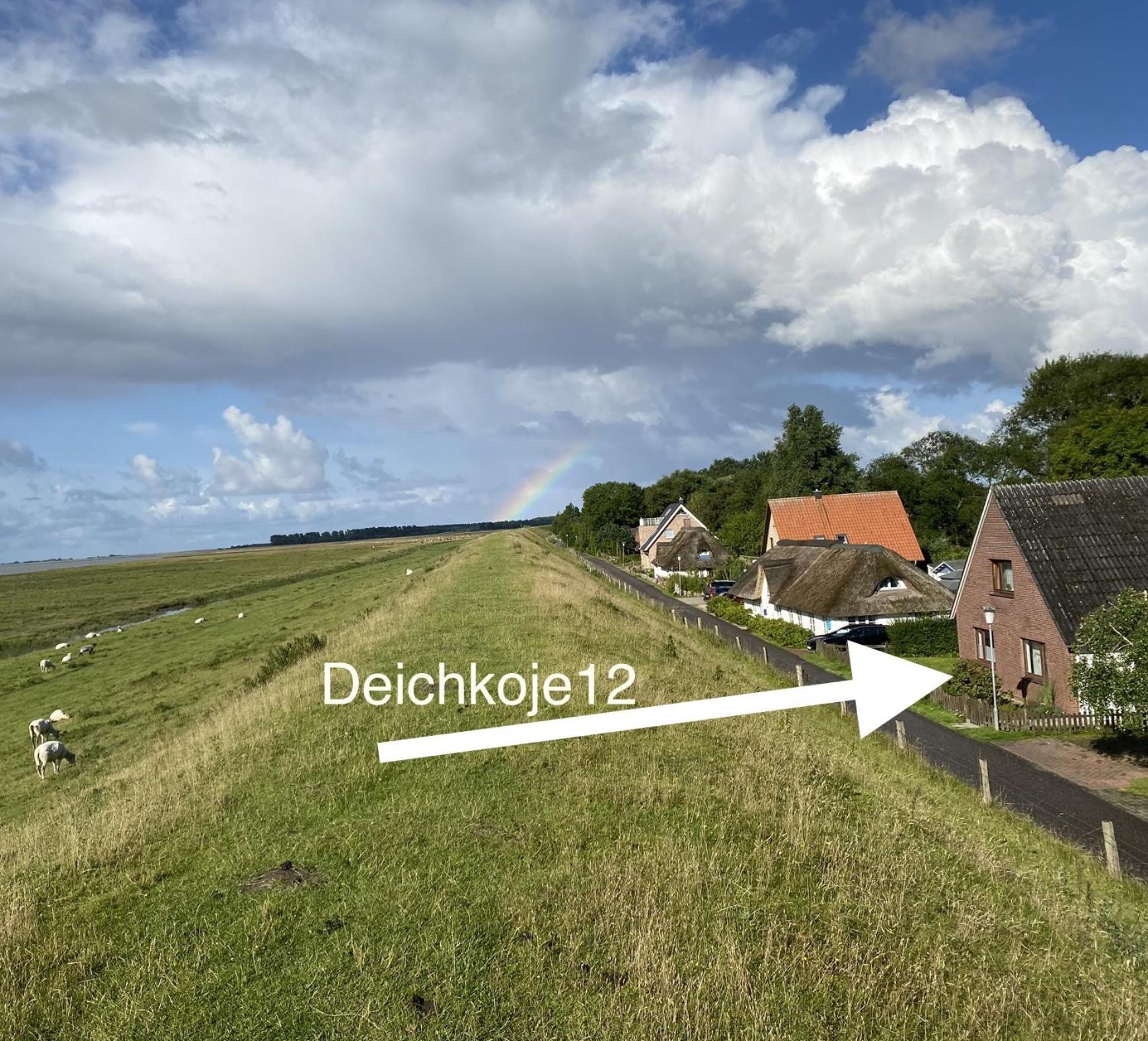 Apartment Deichkoje12 Direkt Am Eiderdeich Nur 7 Km Bis Zur Nordsee Und 20 Min Bis Sankt Peter Ording Tönning